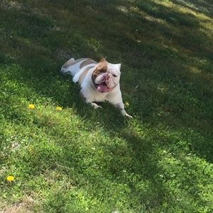 Meet your Posher, Joel